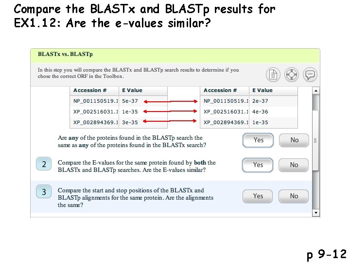 Compare the BLASTx and BLASTp results for EX 1. 12: Are the e-values similar?