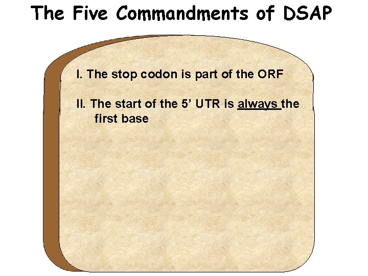 The Five Commandments of DSAP I. The stop codon is part of the ORF