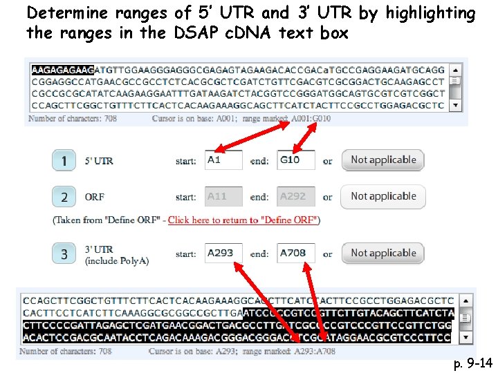 Determine ranges of 5’ UTR and 3’ UTR by highlighting the ranges in the