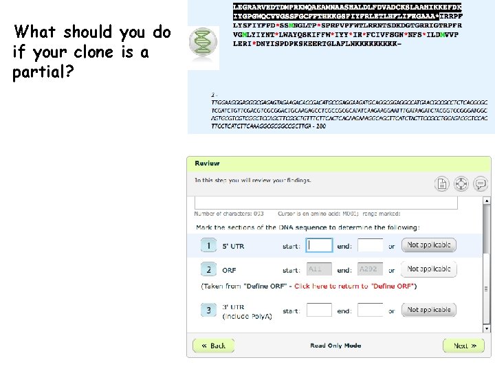 What should you do if your clone is a partial? 