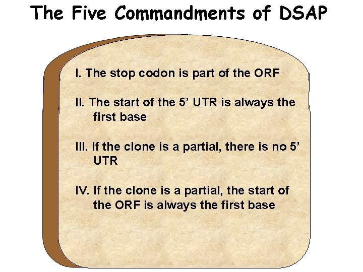 The Five Commandments of DSAP I. The stop codon is part of the ORF