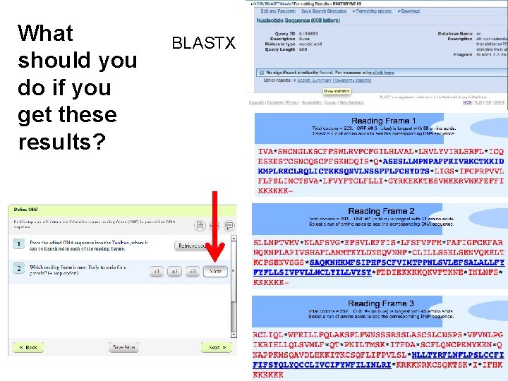 What should you do if you get these results? BLASTX 