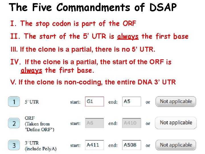 The Five Commandments of DSAP I. The stop codon is part of the ORF