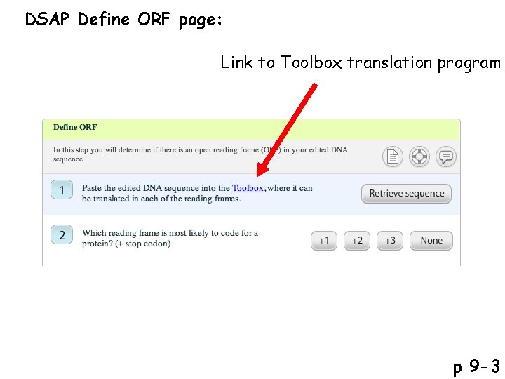 DSAP Define ORF page: Link to Toolbox translation program p 9 -3 