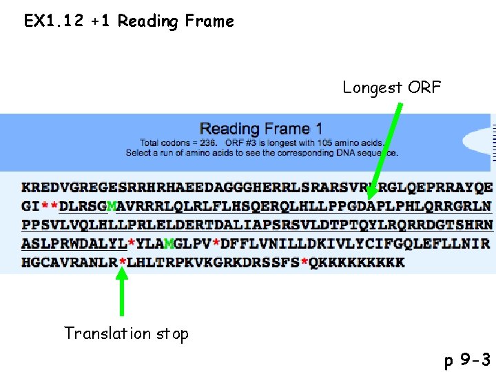 EX 1. 12 +1 Reading Frame Longest ORF Translation stop p 9 -3 