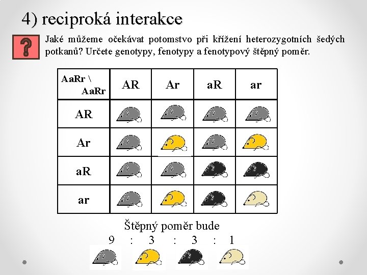 4) reciproká interakce Jaké můžeme očekávat potomstvo při křížení heterozygotních šedých potkanů? Určete genotypy,