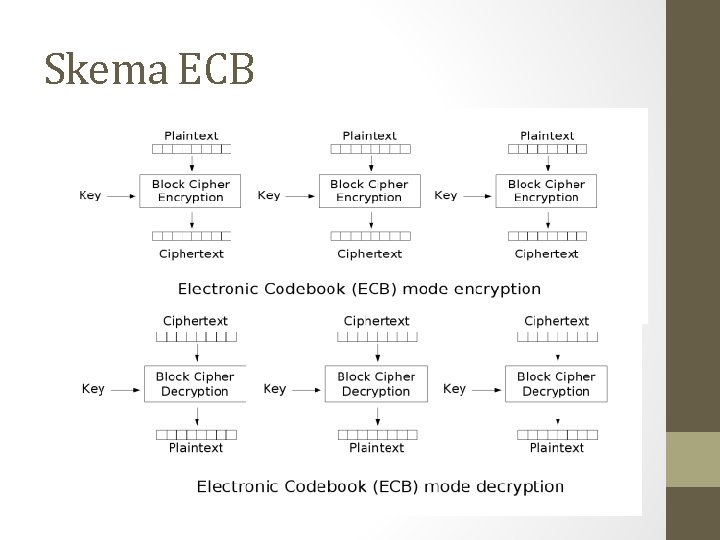 Skema ECB 