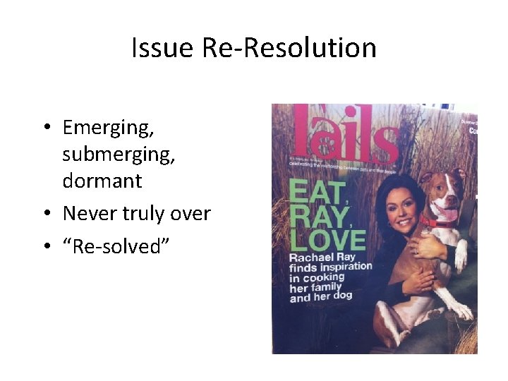 Issue Re-Resolution • Emerging, submerging, dormant • Never truly over • “Re-solved” 
