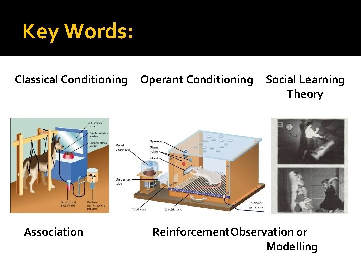 Key Words: Classical Conditioning Association Operant Conditioning Social Learning Theory Reinforcement. Observation or Modelling Key Words: Classical Conditioning Association Operant Conditioning Social Learning Theory Reinforcement. Observation or Modelling