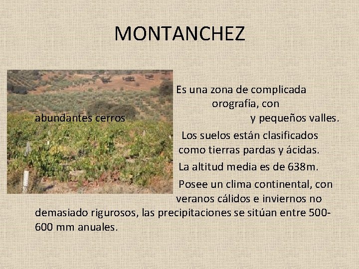 MONTANCHEZ Es una zona de complicada orografía, con abundantes cerros y pequeños valles. Los