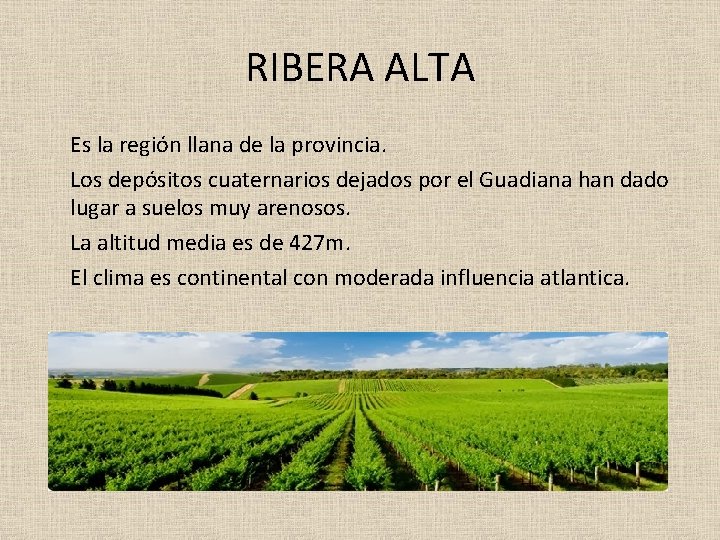 RIBERA ALTA Es la región llana de la provincia. Los depósitos cuaternarios dejados por