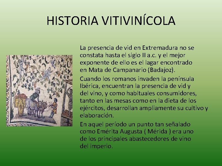 HISTORIA VITIVINÍCOLA La presencia de vid en Extremadura no se constata hasta el siglo