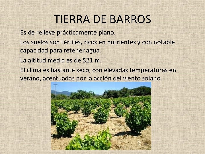 TIERRA DE BARROS Es de relieve prácticamente plano. Los suelos son fértiles, ricos en