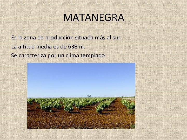 MATANEGRA Es la zona de producción situada más al sur. La altitud media es