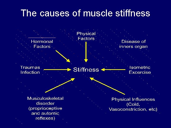 The causes of muscle stiffness 