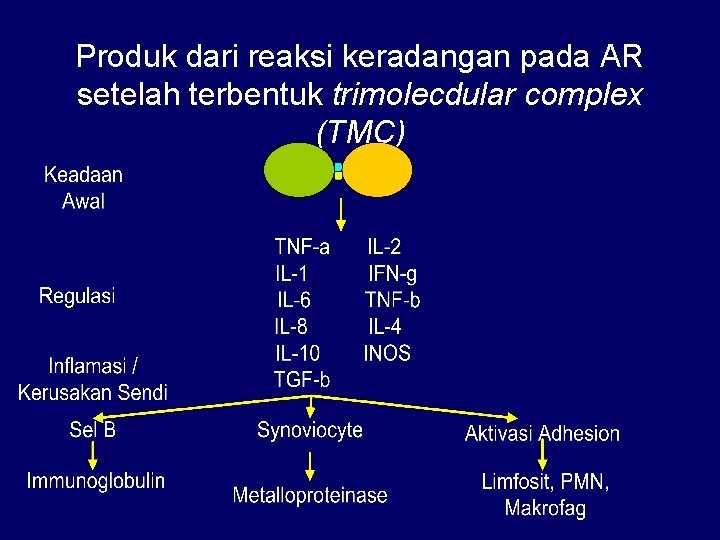 Produk dari reaksi keradangan pada AR setelah terbentuk trimolecdular complex (TMC) 