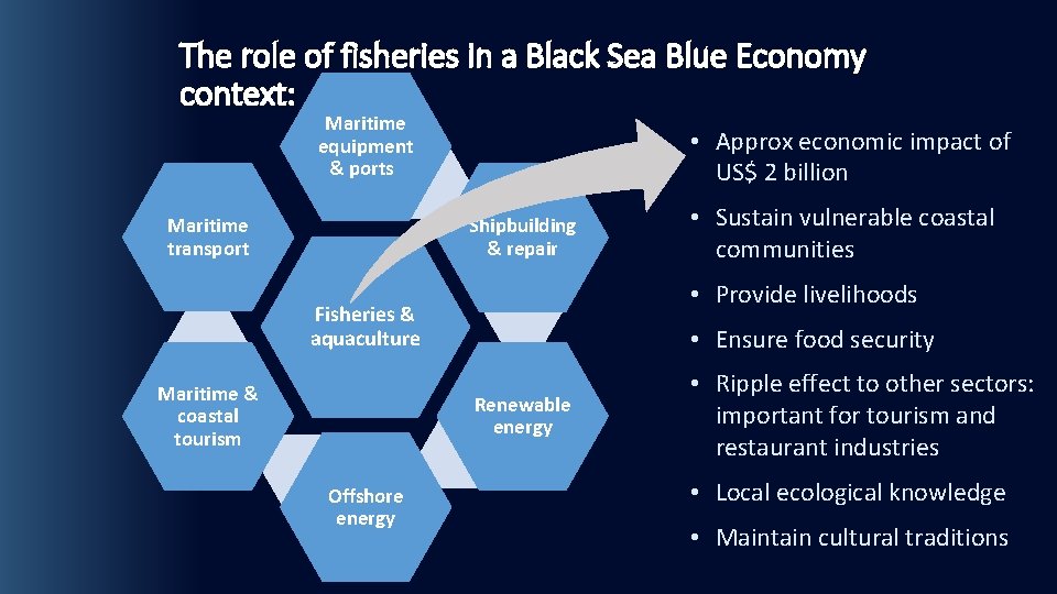 The role of fisheries in a Black Sea Blue Economy context: Maritime equipment &