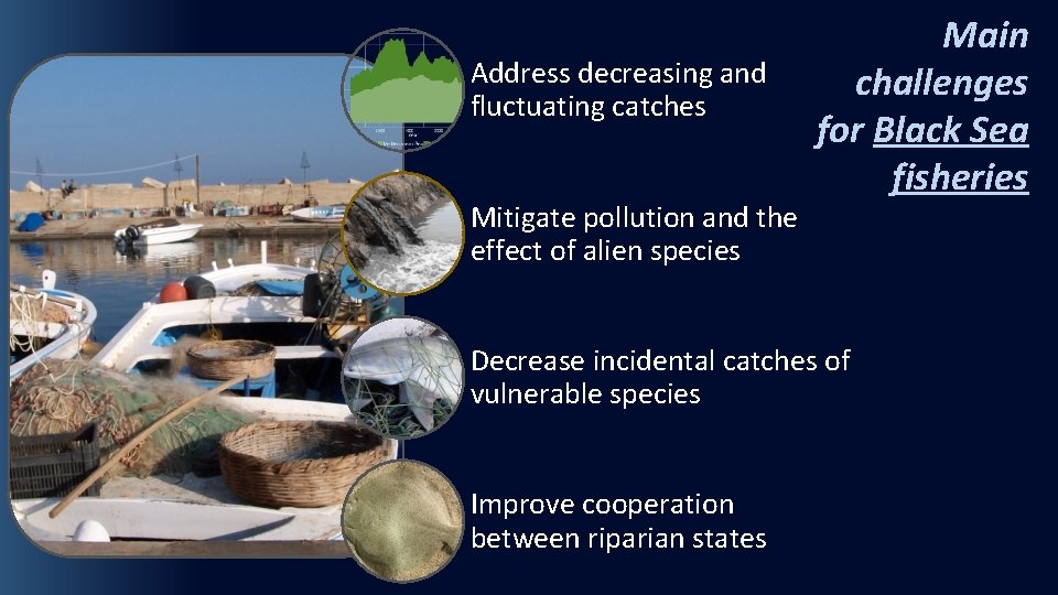 Address decreasing and fluctuating catches Mitigate pollution and the effect of alien species Main