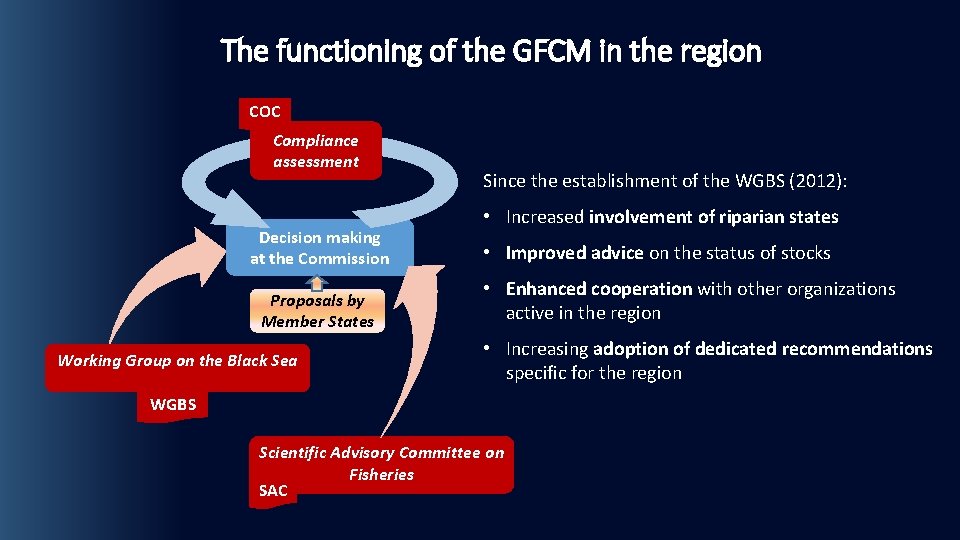The functioning of the GFCM in the region COC Compliance assessment Decision making at