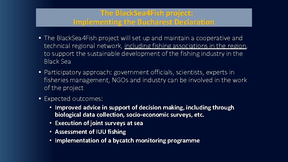 The Black. Sea 4 Fish project: Implementing the Bucharest Declaration • The Black. Sea