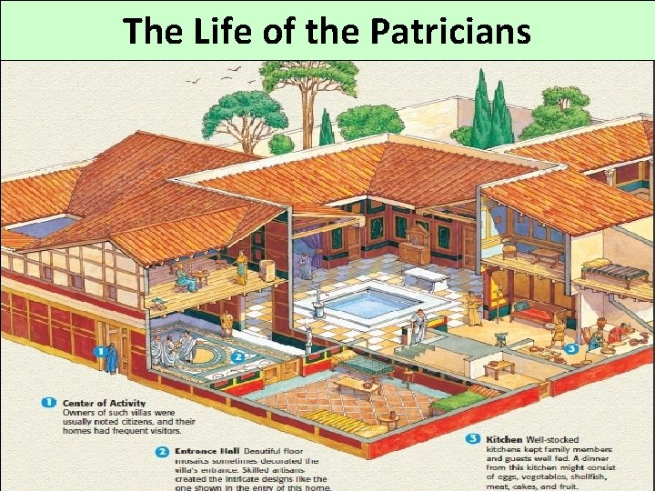 The Life of the Patricians 