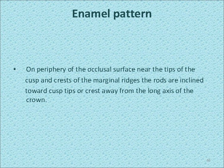 Enamel pattern • On periphery of the occlusal surface near the tips of the