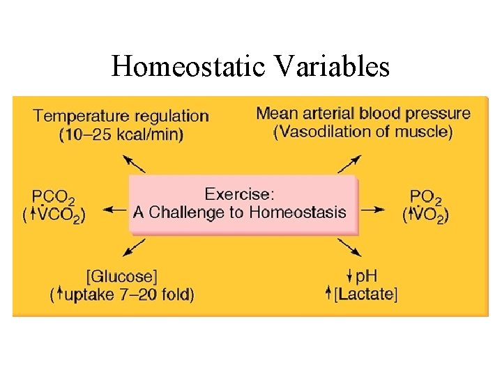 Homeostatic Variables 