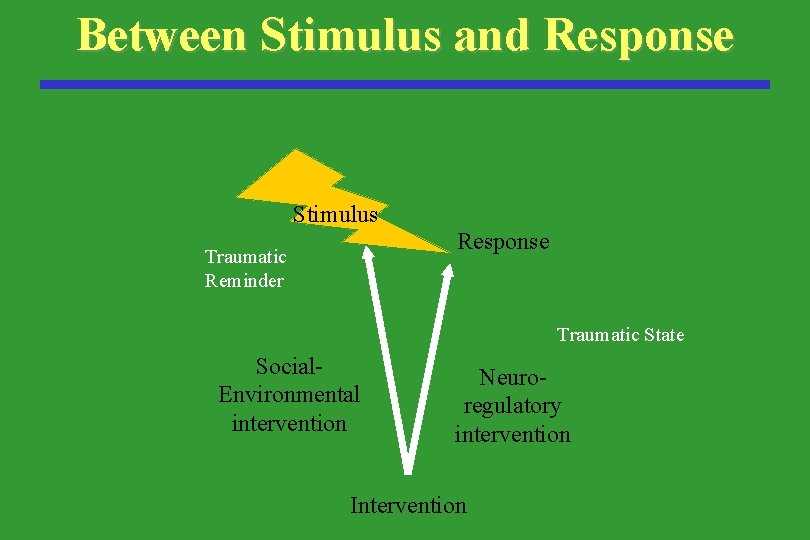 Between Stimulus and Response Stimulus Response Traumatic Reminder Traumatic State Social. Environmental intervention Neuroregulatory