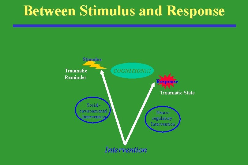 Between Stimulus and Response Stimulus Traumatic Reminder COGNITION!!! Response Traumatic State Socialenvironmental Intervention Neuroregulatory