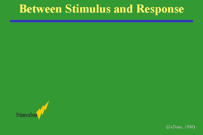 Between Stimulus and Response Stimulus (Le. Doux, 1996) 