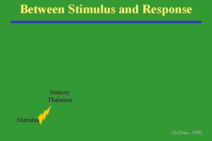 Between Stimulus and Response Sensory Thalamus Stimulus (Le. Doux, 1996) 