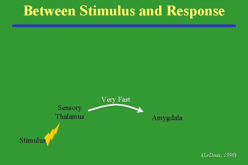 Between Stimulus and Response Very Fast Sensory Thalamus Amygdala Stimulus (Le. Doux, 1996) 