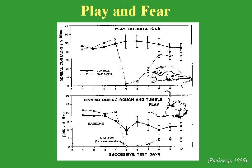 Play and Fear (Panksepp, 1998) 