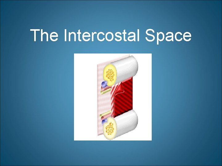 The Intercostal Space 