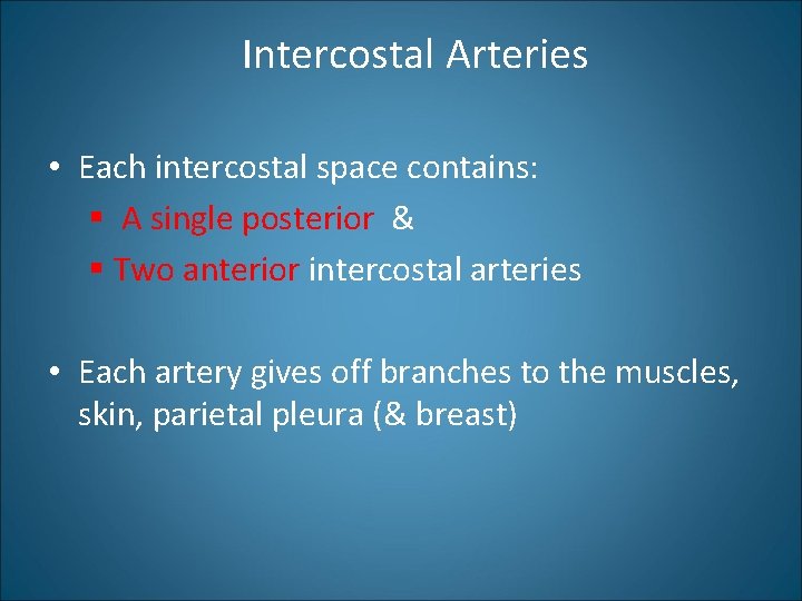 Intercostal Arteries • Each intercostal space contains: § A single posterior & § Two