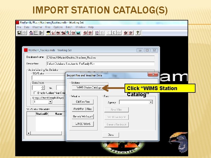 IMPORT STATION CATALOG(S) Click “WIMS Station Catalog” 