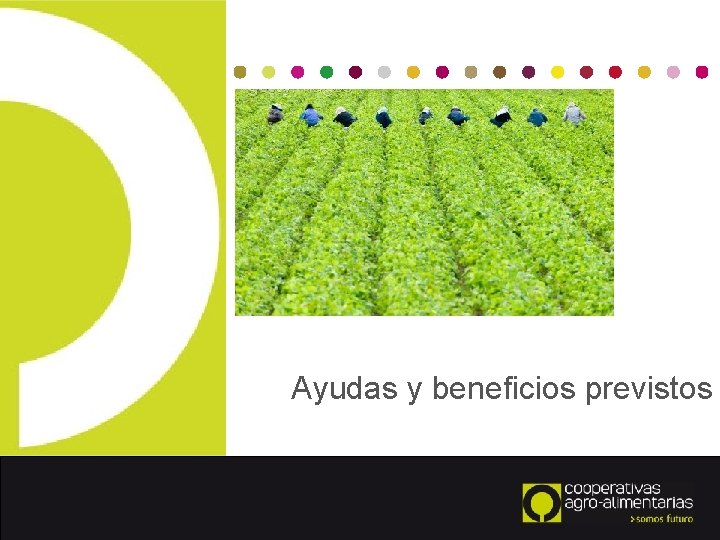 Ayudas y beneficios previstos 