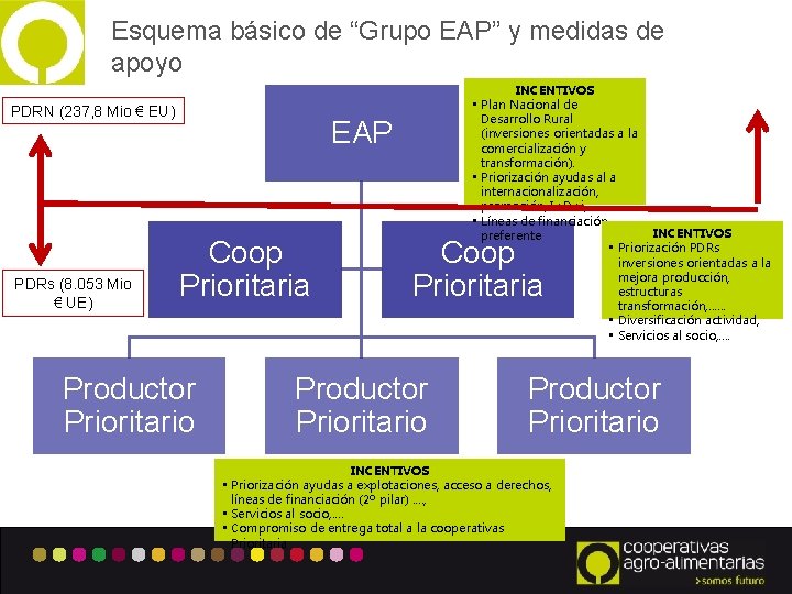 Esquema básico de “Grupo EAP” y medidas de apoyo PDRN (237, 8 Mio €