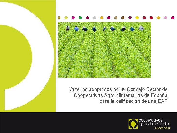 Criterios adoptados por el Consejo Rector de Cooperativas Agro-alimentarias de España para la calificación