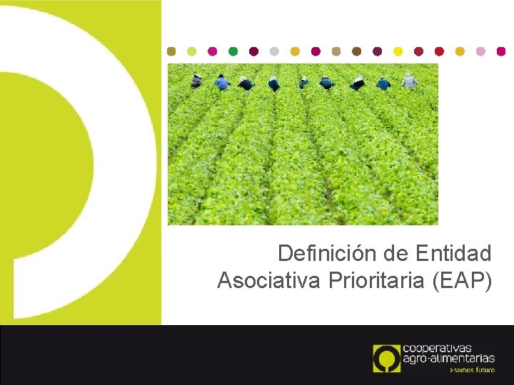 Definición de Entidad Asociativa Prioritaria (EAP) 