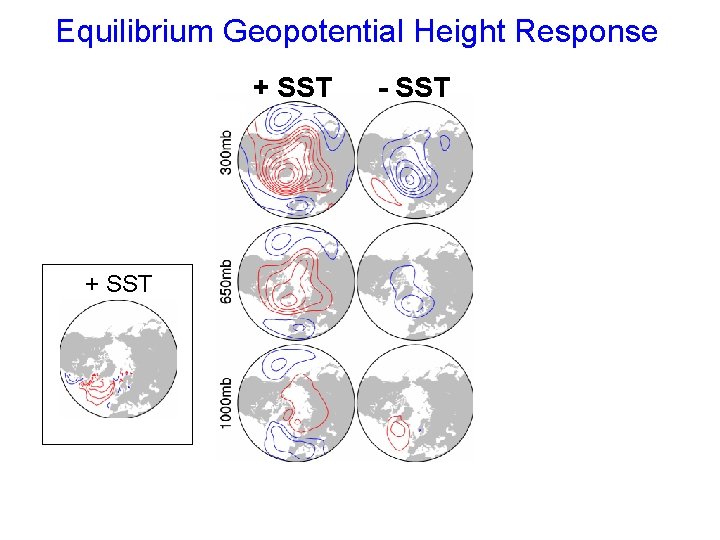 Equilibrium Geopotential Height Response + SST - SST 