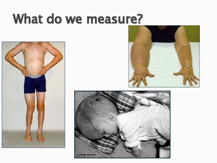 What do we measure? 