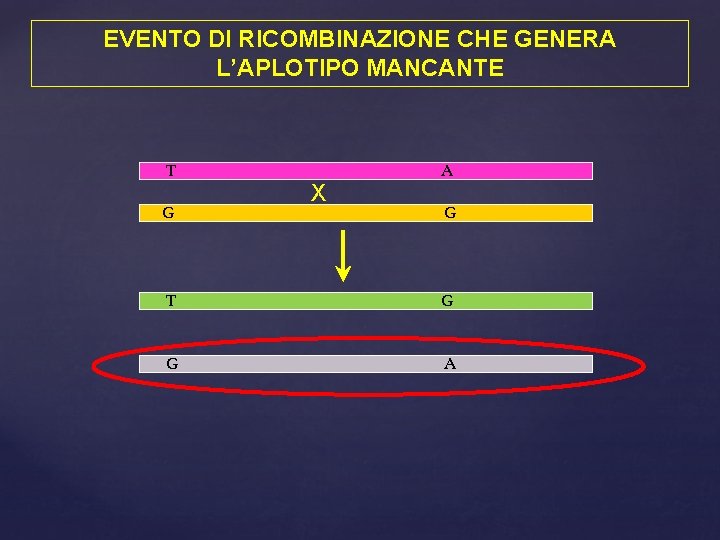 EVENTO DI RICOMBINAZIONE CHE GENERA L’APLOTIPO MANCANTE T G X A G T G