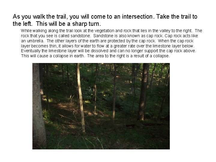 As you walk the trail, you will come to an intersection. Take the trail