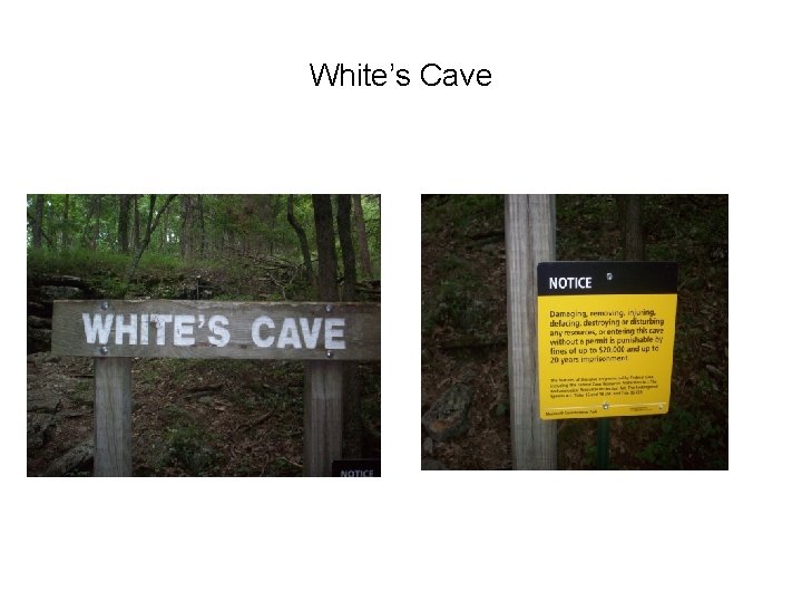 White’s Cave 