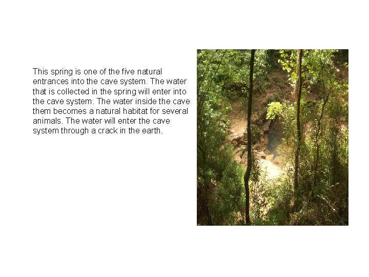 This spring is one of the five natural entrances into the cave system. The