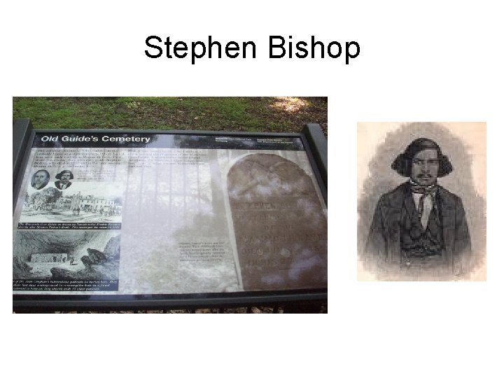 Stephen Bishop 