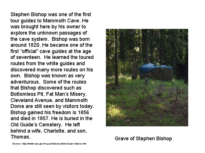 Stephen Bishop was one of the first tour guides to Mammoth Cave. He was