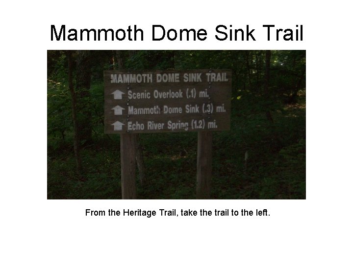Mammoth Dome Sink Trail From the Heritage Trail, take the trail to the left.