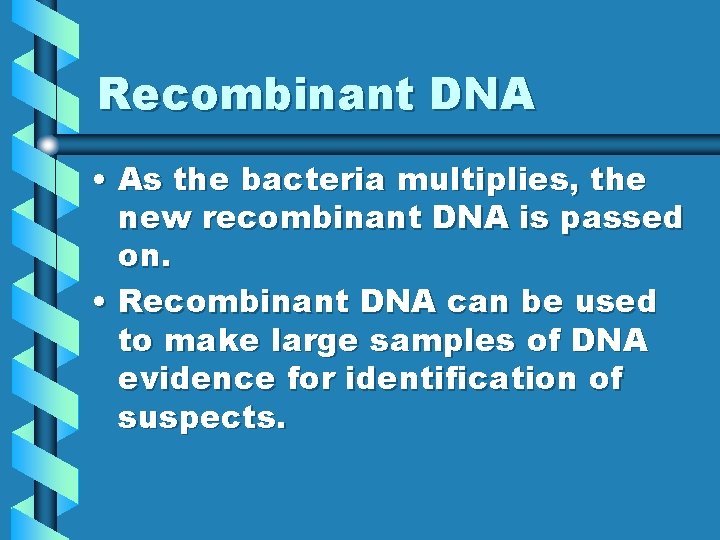 Recombinant DNA • As the bacteria multiplies, the new recombinant DNA is passed on.